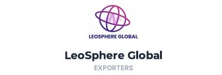 LeoSphere Global logo